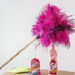 feather duster, cleaning, housework, cleaner, domestic chores, housekeeping, spray, tidy, cleanup, feather duster, feather duster, feather duster, cleaning, housework, cleaner, cleaner, cleaner, housekeeping, housekeeping, housekeeping, housekeeping, housekeeping, tidy, tidy, tidy